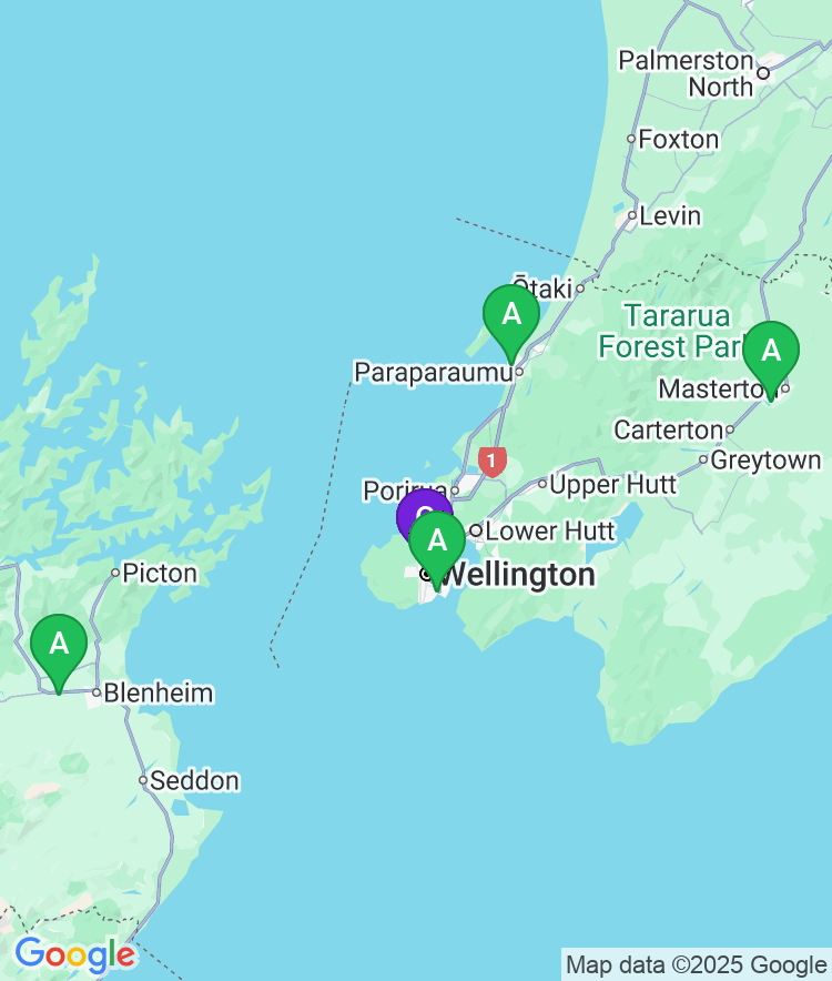 Wellington Available Airport Options